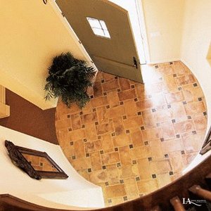 Interior Decor #022 by Lewis Aquatech