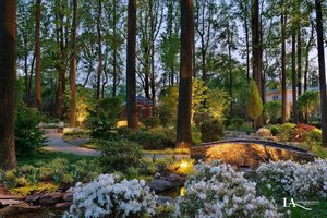 Landscaping #008 by Lewis Aquatech