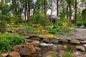 Landscaping #013 by Lewis Aquatech