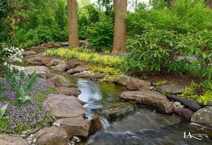 Landscaping #014 by Lewis Aquatech